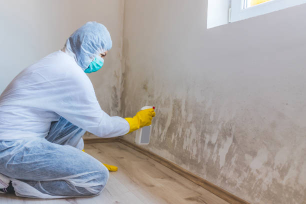 Mold Remediation specialist working in Smithfield
