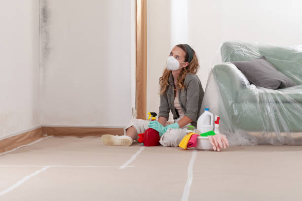 Mold Removal service in Smithfield
