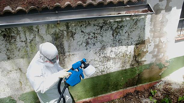 Mold Remediation service in Smithfield, Smithfield, NC